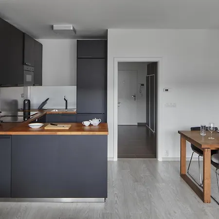 Apartment Bright In Karlin By Days *