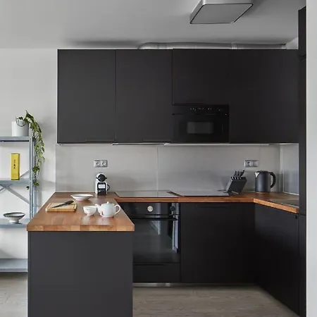 Apartment Bright In Karlin By Days Prague